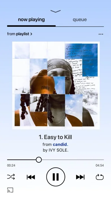 bandcamp: playback screen